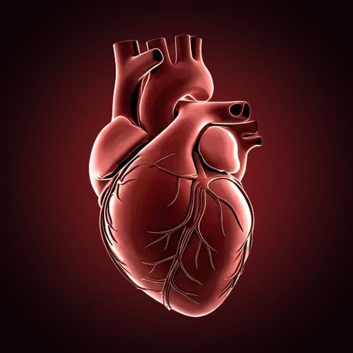 Abstract clinical visualization of human heart anatomy with stylized network lines in deep red and charcoal